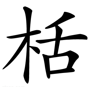 栝